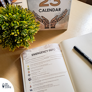 2023 Planner & Table Top Calendar Bundle