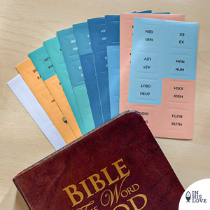 In His Love Bible Tab Stickers Old & New testament Set - OCEAN